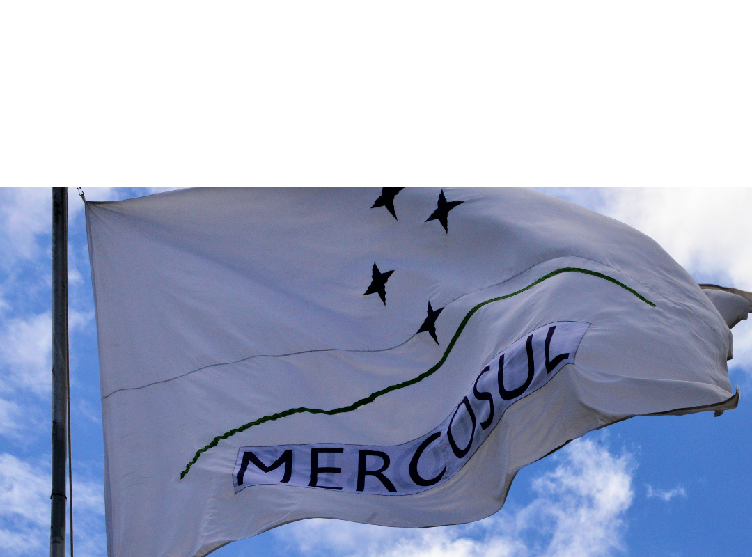  GRUPO MERCADO COMUM DO SUL: RELAÇÃO NOMINAL E REGULAMENTO ADMINISTRATIVO DOS ORGANISMOS COORDENADORES NA ÁREA  DE CONTROLE INTEGRADO.